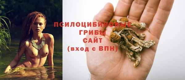 альфа пвп Новодвинск