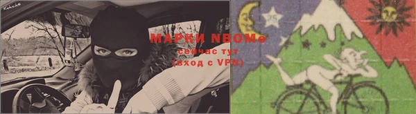 альфа пвп Новодвинск