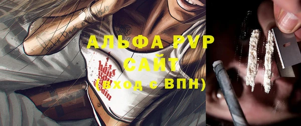 молекула духа Новокубанск