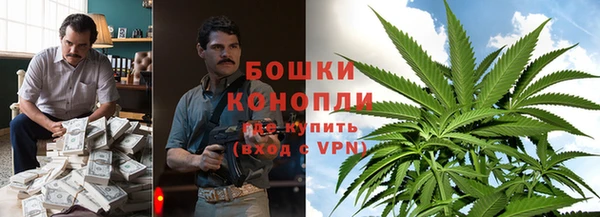 МДМА Новозыбков