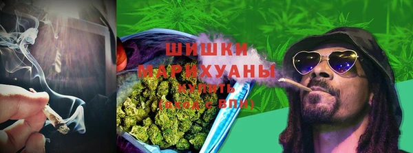альфа пвп Новодвинск