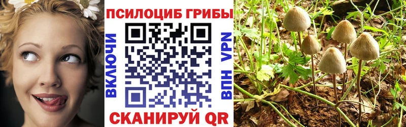 hydra зеркало  Закаменск  Псилоцибиновые грибы MAGIC MUSHROOMS 
