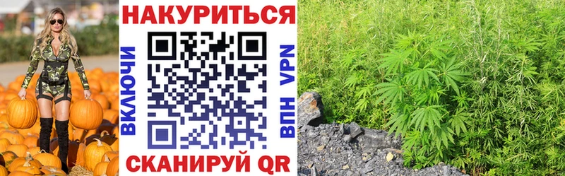 Шишки марихуана конопля  MEGA сайт  Закаменск 